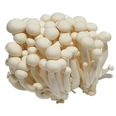 Mushroom Shimeji (pack) – Fresh and Green