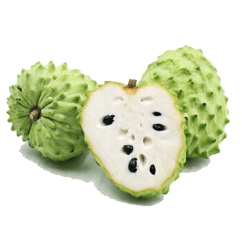 Custard Apple Taiwan L size (440-600g/piece) ⭐ Bunny Brand